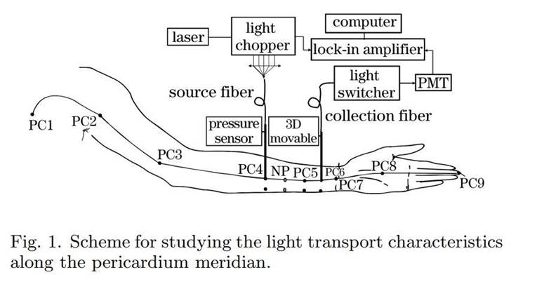 A diagram of a light transport scheme

Description automatically generated