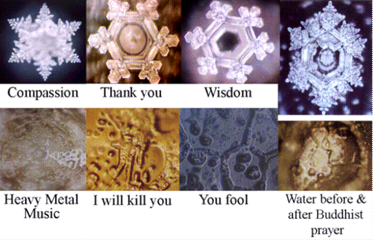 Image result for emoto masaru water crystals