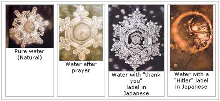 Image result for emoto masaru water crystals