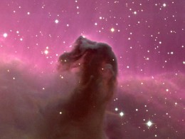 This is the horse head nebula, so-called by astronomers even today. Others may see different things, but to call it the horse head nebula prejudices the case. Ir is really a large cloud of interstellar dust in a random arrangement.