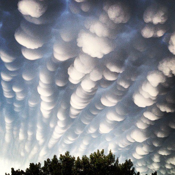 A rare cloud formation called a mammatus, where clouds take on a  bubble-like shape, appeared in the skies above Regina, Saskatchewan in Canada following a thunderstorm on June 26 [2012 ?], Photo courtesy of Preston Smoke/CBC.CA (Linda)