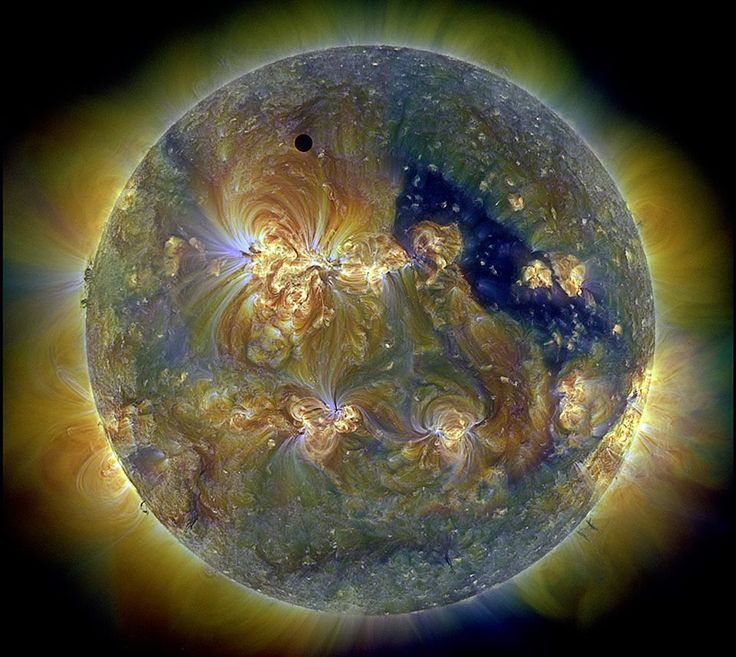 "A Venusian annular eclipse with an extraordinarily large ring of fire"! NASA SDO