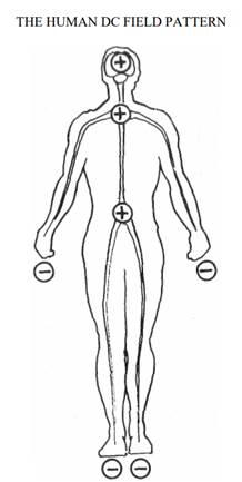 A drawing of a person

Description automatically generated with low confidence