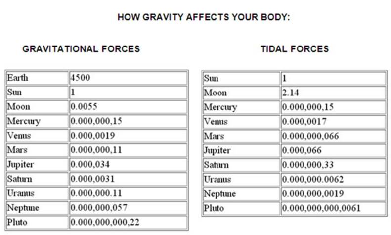 Table

Description automatically generated