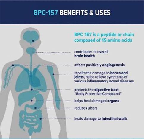 Implementing BPC-157 to Improve Your Health | Maximize Your Performance -  Regenics - Regenics