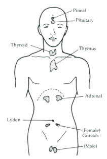 A diagram of a person's body

Description automatically generated with medium confidence