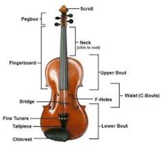 The Shapes of Violin | SpringerLink