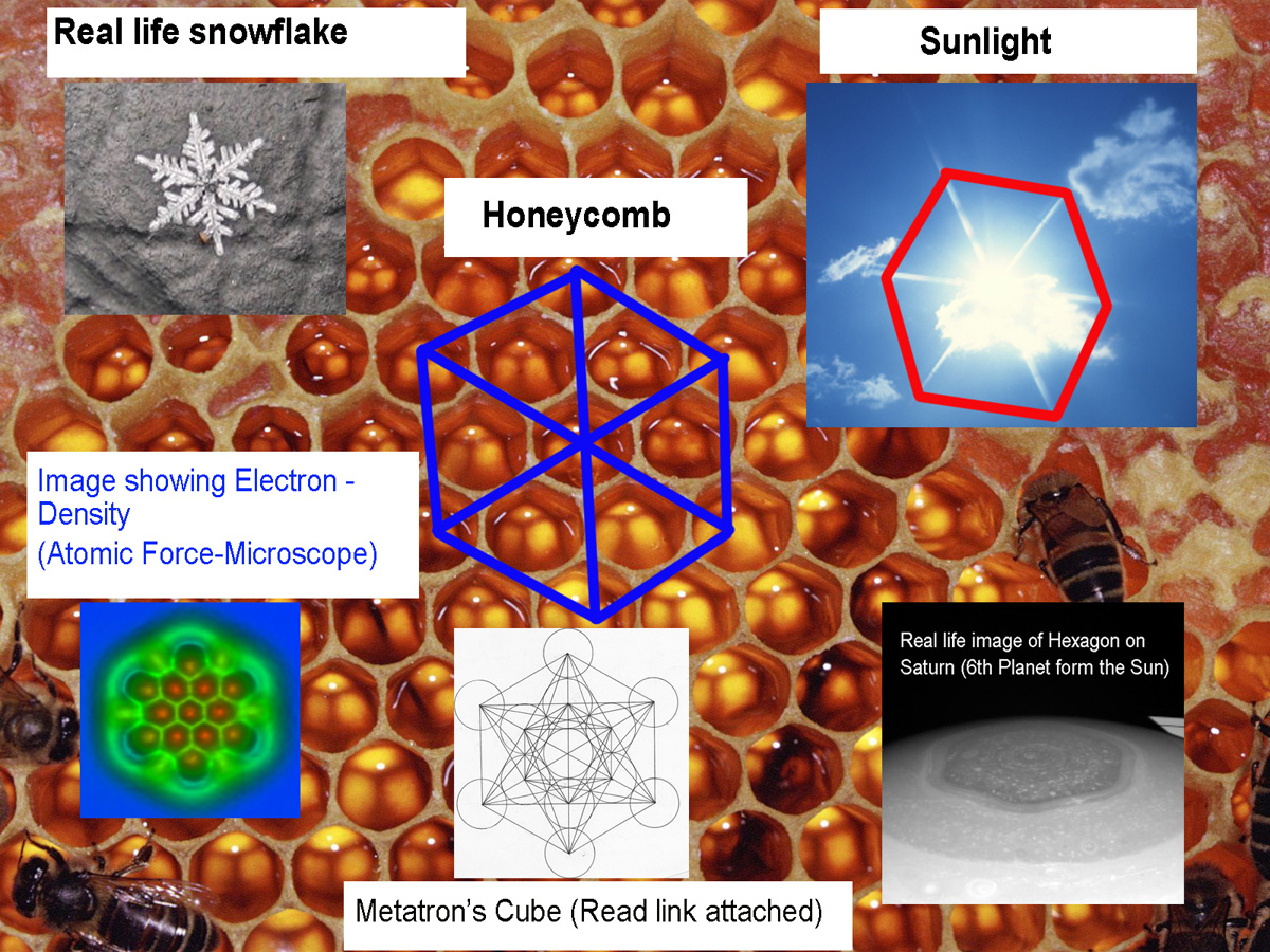 Honeycomb3.jpg