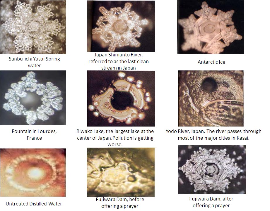 Image result for emoto masaru water crystals