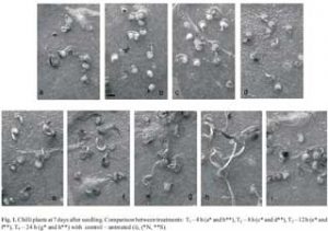 A picture containing text

Description automatically generated