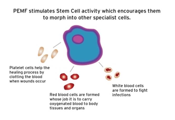 Diagram, timeline

Description automatically generated