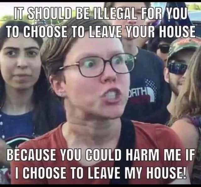 Image may contain: 1 person, meme, text that says 'IT SHOULD BE ILLEGAL FOR YOU TO CHOOSE TO LEAVE YOUR HOUSE DRTH BECAUSE YOU COULD HARM ME IF I CHOOSE TO LEAVE MY HOUSE!'