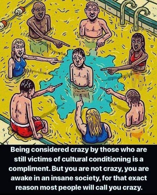 Image may contain: 2 people, text that says 'Being considered crazy by those who are still victims of cultural conditioning is a a compliment. But you are not crazy you are awake in an insane society, for that exact reason most people will call you crazy.'