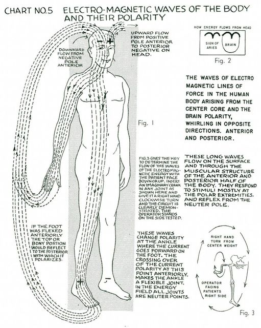 Image may contain: drawing, text that says 'CHART NO.5 O-MAGNETIC WAVES OF THE BODY AND THEIR POLARITY UPWARD FLOW DOWNWARD NEGARIE FROh HOW ENERGY FLOWS FROM HEAD ANTERIOR POSTERIOR NEGATIVE HEAD ANTERIOR SIGN ARIES BRAIN Fig. 2 THE WAVES OF ELECTRO MAGNETIC LINES OF FORCE THE HUMAN BODY ARISING FROM CENTER CORE THE BRAIN POLARITY, WHIRLING OPPOSITE DIRECTIONS. ANTERIOR POSTERIOR. Fig. THESE LONG WAVES FLOW NTHE SURFACE STIMULI RESPOND XTREMITIES FROM THE NEUTER POLE. THE FOOT AN FLEXED ERIORL OPOR WOULD REFLECT POSTERIOR THESE WAVES POLARIZES. RIGHT HAND CURRENT ON CROSSING CENTER WEIGHT POINT ANTERIORLY FLEXIBLE NTHE ENERGY ARE NEUTER OPERATOR FACING SIDE Fig.'