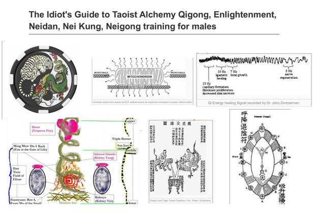 Image may contain: text that says 'The Idiot's Guide to Taoist Alchemy Qigong, Enlightenment, Neidan, Nei Kung, Neigong training for males MITOCHONDRION Hz ligament bone rowth 15Hz ihmblast Hz regeneration Heart Emperor Fire) necrosis upper Qi nergy healing Signal recorded Ming Men- Du4 Back (Fire the Gate Life) Dr. John Zimmerman Triple Burner 降 Glands: (Kidney middle Elixer Ren Muofth Small Minister Kidneys (Kidney Yin) Dragonand Water,'