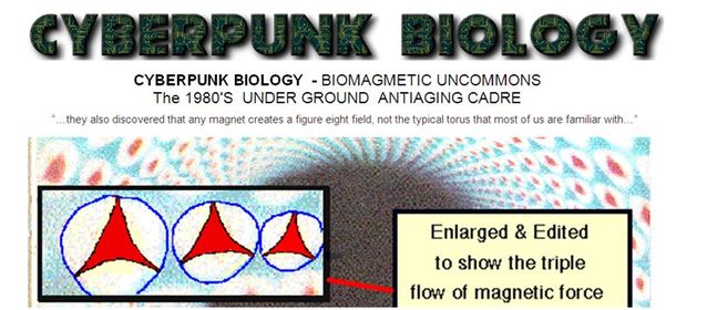 Image may contain: text that says 'CYBERPUNK BIOLOGY CYBERPUNK BIOLOGY BIOMAGMETIC BIOMAGMETIC JNCOMMONS The 1980'S UNDER GROUND ANTIAGING CADRE .they disco that magnet creates fiqure eight field, magnet typicaltorus most ofus are familiar with Enlarged & Edited to show the triple flow of magnetic force'