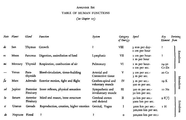 Image may contain: text that says 'APPENDIX TABLE HUMAN FUNCTIONS Note Planet Gland Function Sun Thymus Growth System Moon Category ofEergy Speed Pancreas Digestion, assimilation food VIII Deriving Element Mercury Thyroid Respiration, combustion Venus Lymphatic fe Blood-circulation, Pulmonary building hour- hour hour- thyroids Adrenals Exterior motion, fight flight 24-30 Posterior Inner Picuitary Anterior Pituitary Gonads 20Ca sec.- Uranus Arterial Connective Cerebro-spina and voluntary muscle Sympathetic involuntary Cerebral cortex skeletal emotion Genital, bone structure 19K 300 per Reproduction, creation, Neptune Pincal F(?) 3000 3०0,००0 H per'