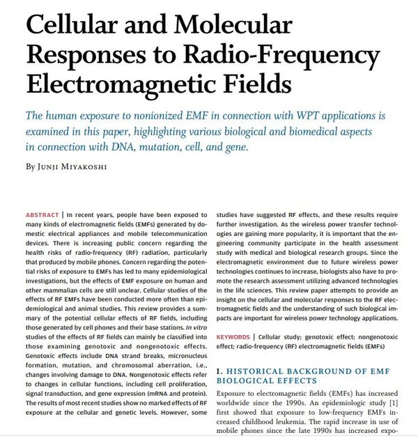 Image may contain: text that says 'Cellular and Molecular Responses to Radio-Frequency Electromagnetic Fields human exposure nonionized EMF connection with WPT applications examined this paper, highlighting various biological biomedical aspects connection mutation, cell, and gene. JUNJI MIYAKOSHI years. people electrical studies nvestigation. results require radio-frequenc oncernregard pidemiologica community biological electromagnetio eovironment ssessment potential including actaeimportant Genotoxic formation, mutation, technology applications. Cellular study: genotoxic chromosomal Nongenotoxic transduction nongenotoxi EMFs) HISTORICAL BACKGROUND genetic lectromagnetic fields (EMFs) since phones [圓 EMFs increased'