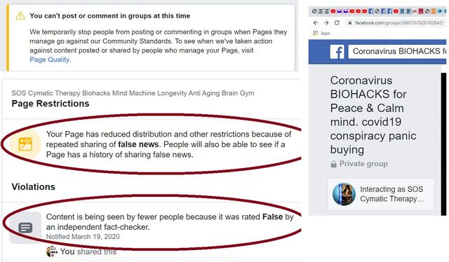 Image may contain: text that says 'post comment groups this time temporarily posting commenting ngroups manage against Community Standards. posted shardb people Page Quality. Pages Page, visit facebook.com/group/365767620162842/ Biohacks Mind Machine Longevity Anti Aging Brain Gym Page Restrictions f Coronavirus BIOHACKS Page has reduced distribution and other restrictions because repeated sharing of false news. People also able see Page has history sharing Coronavirus BIOHACKS for Peace Calm mind. covid19 conspiracy panic buying Violations Content being by fewer people because independent fact-checker. NotifiedMarch You False this Interacting sos Cymatic Therapy..'