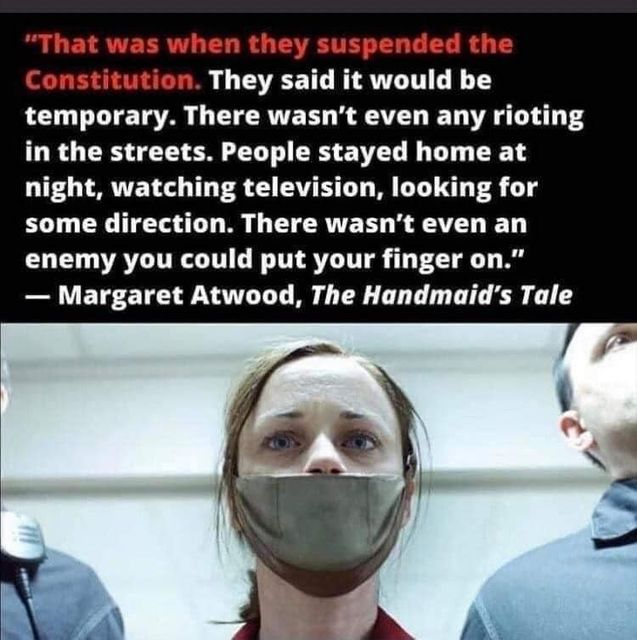 Image may contain: 1 person, text that says '"That was when they suspended the Constitution. They said it would be temporary. There wasn't even any rioting in the the streets. People stayed home at night, watching television, looking for some direction. There wasn't even an enemy you could put your finger on." -Margaret Atwood, The Handmaid's Tale'