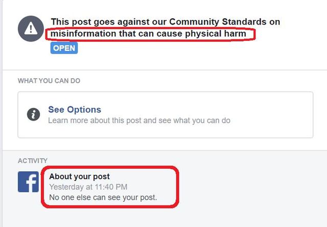 Image may contain: text that says 'This post goes against our Community Standards on misinformation that can cause physical harm OPEN WHAT YOU CAN DO See Options Learn more about this post and see what you can do ACTIVITY f About your post Yesterday at 11:40 11:40 PM No one else can see your post.'