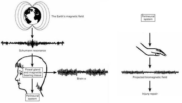 Diagram

Description automatically generated